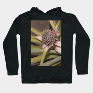 Pineapple Hoodie